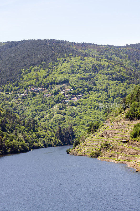 Ribeira sacra葡萄园梯田Miño河，加利西亚，西班牙。